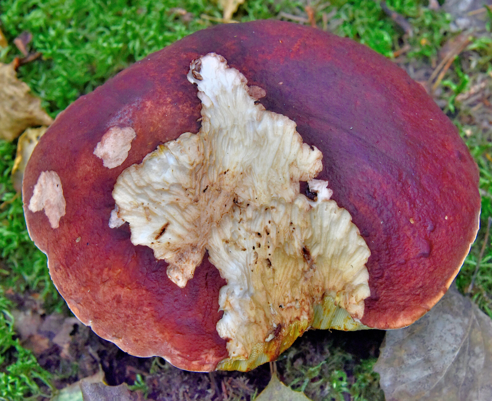 Valokuvaaja: Reijo Juurinen