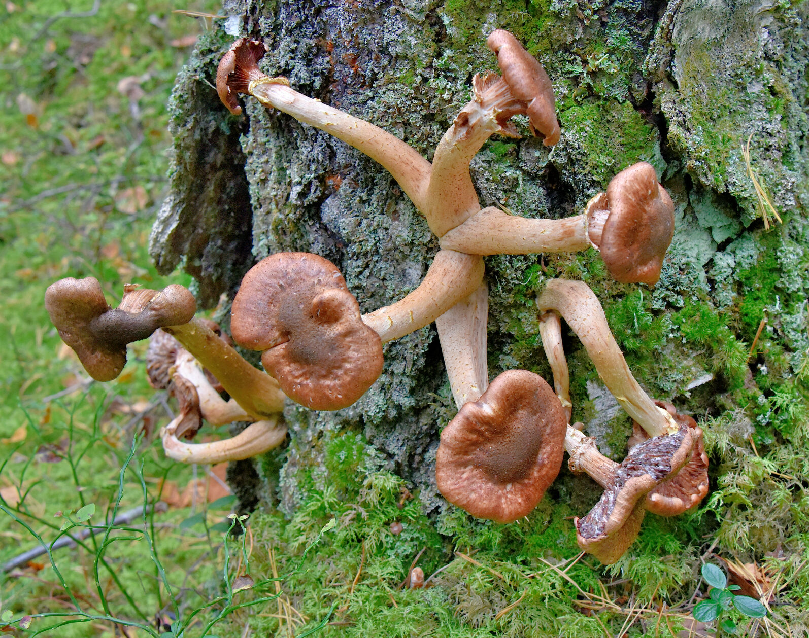 Valokuvaaja: Reijo Juurinen