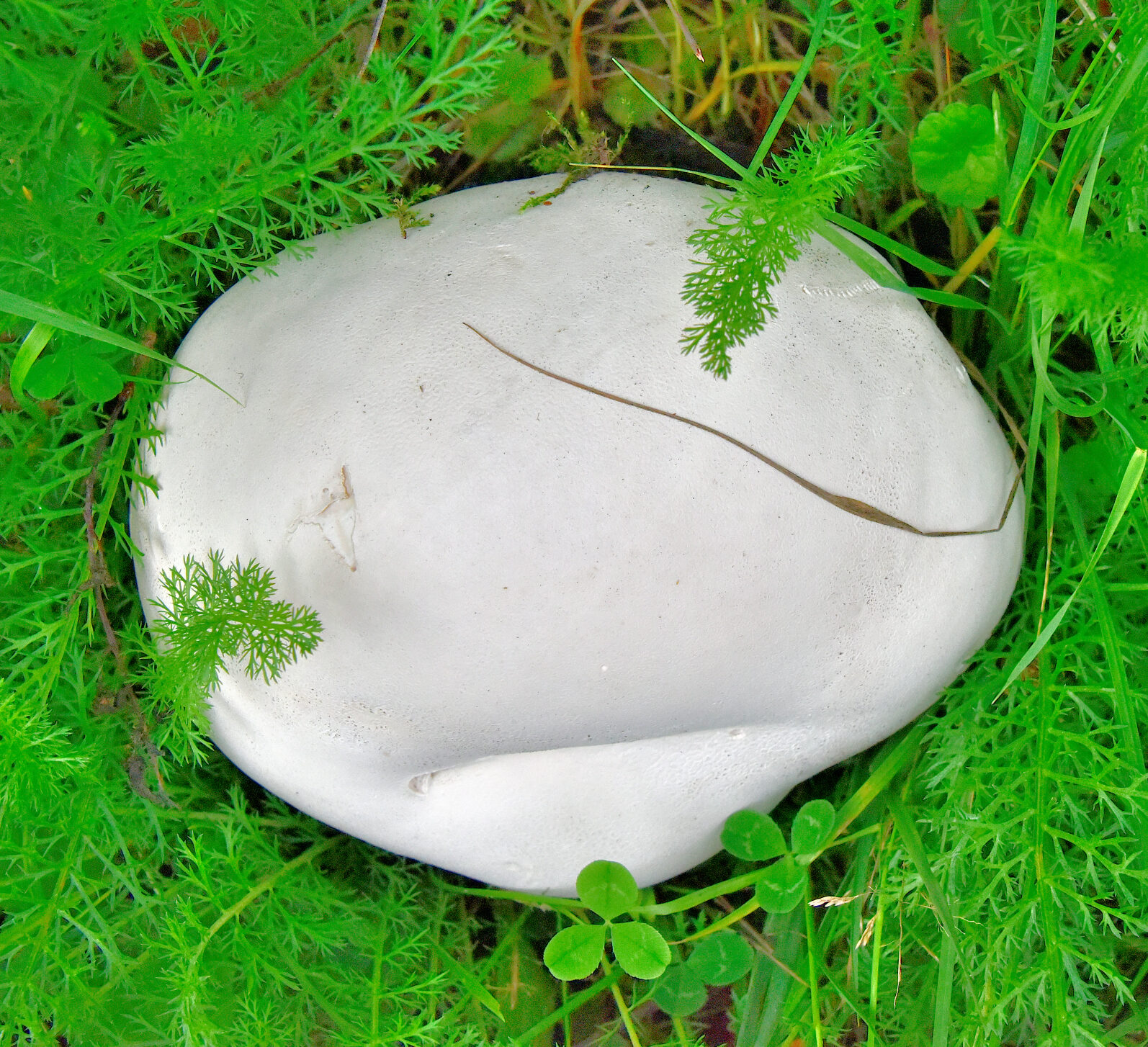 Valokuvaaja: Reijo Juurinen