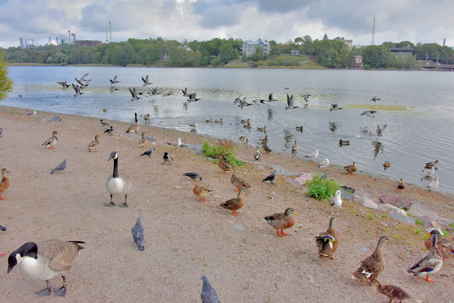 Valokuvaaja: Reijo Juurinen