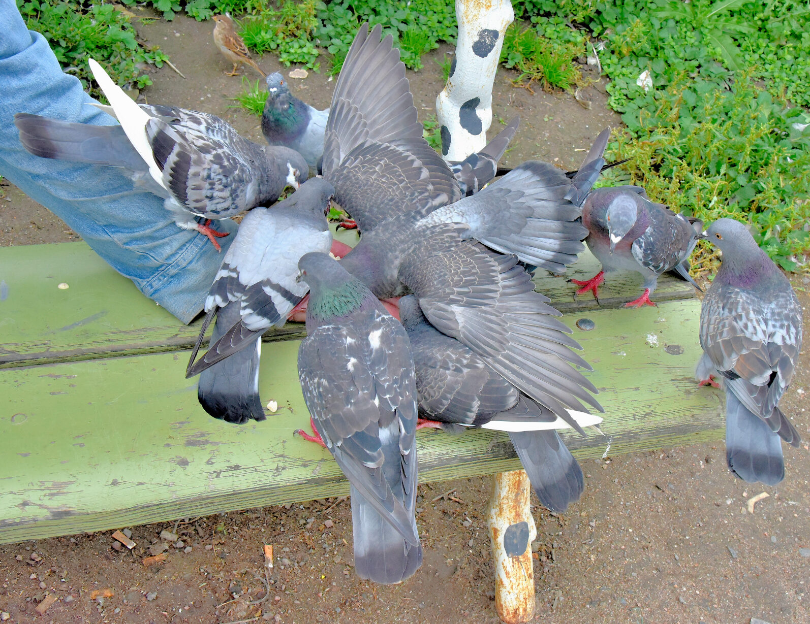 Valokuvaaja: Reijo Juurinen