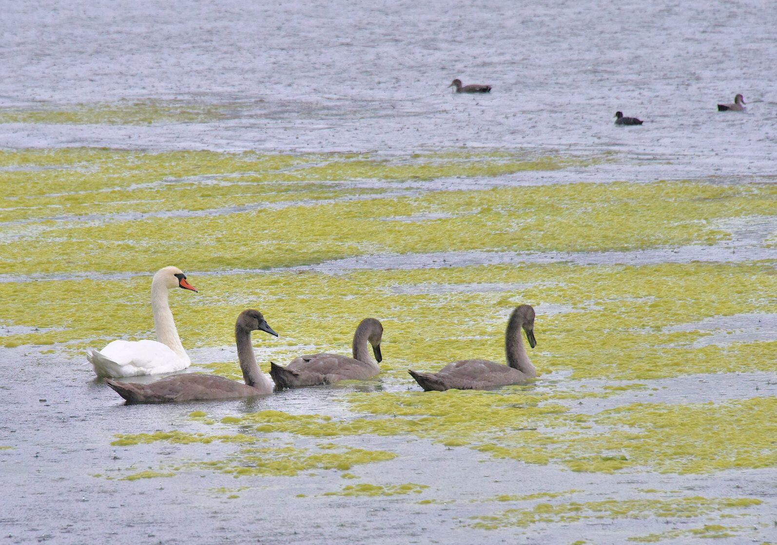 Valokuvaaja: Reijo Juurinen