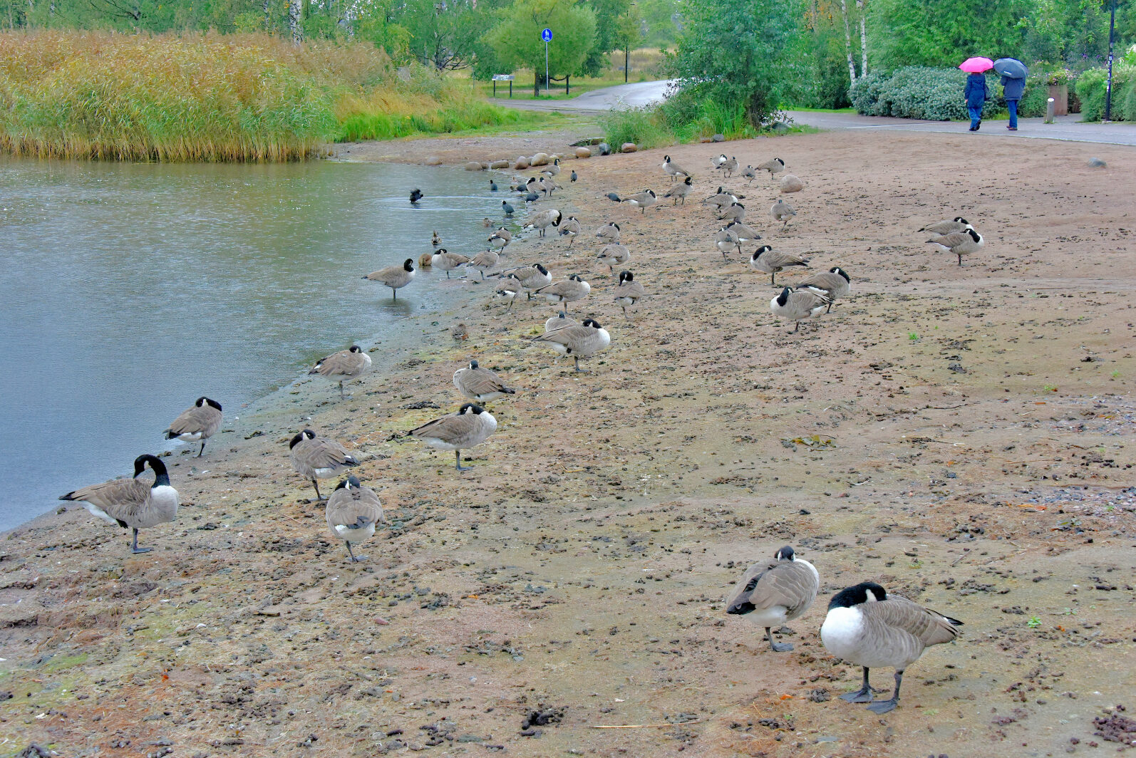 Valokuvaaja: Reijo Juurinen