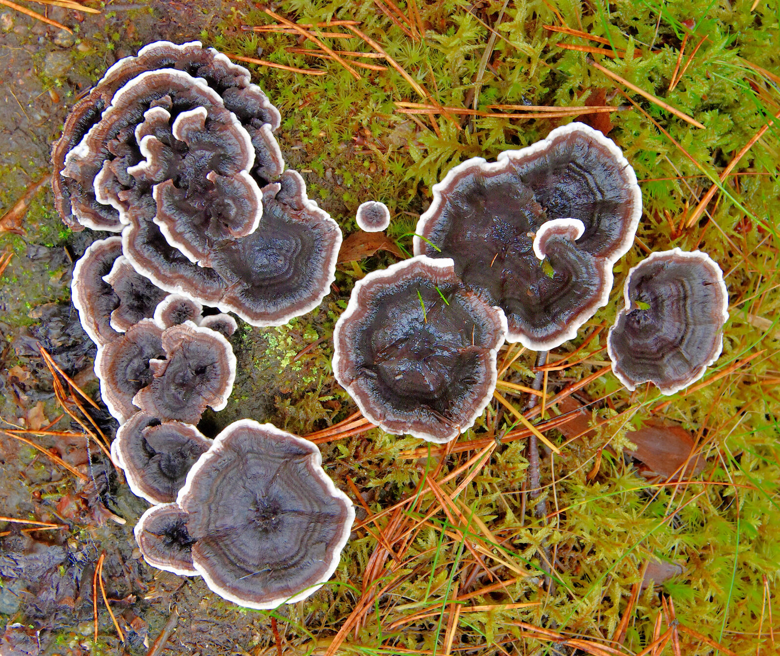 Valokuvaaja: Reijo Juurinen