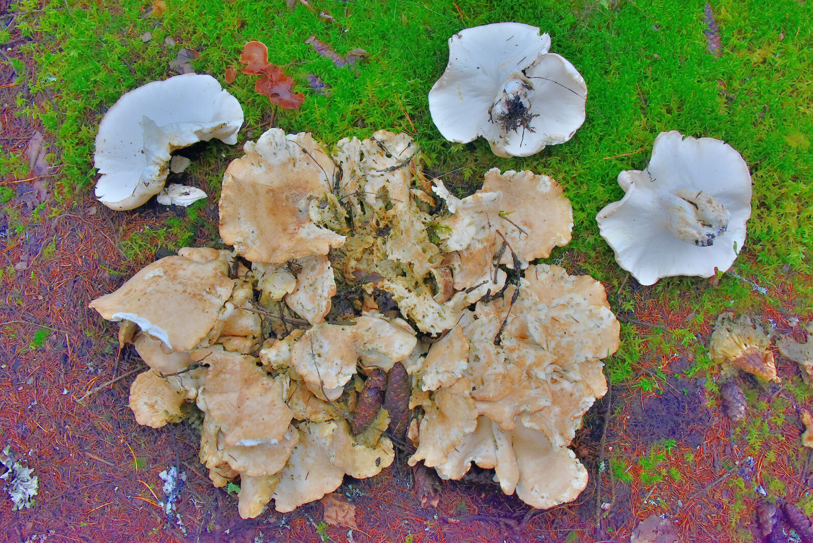 Valokuvaaja: Reijo Juurinen