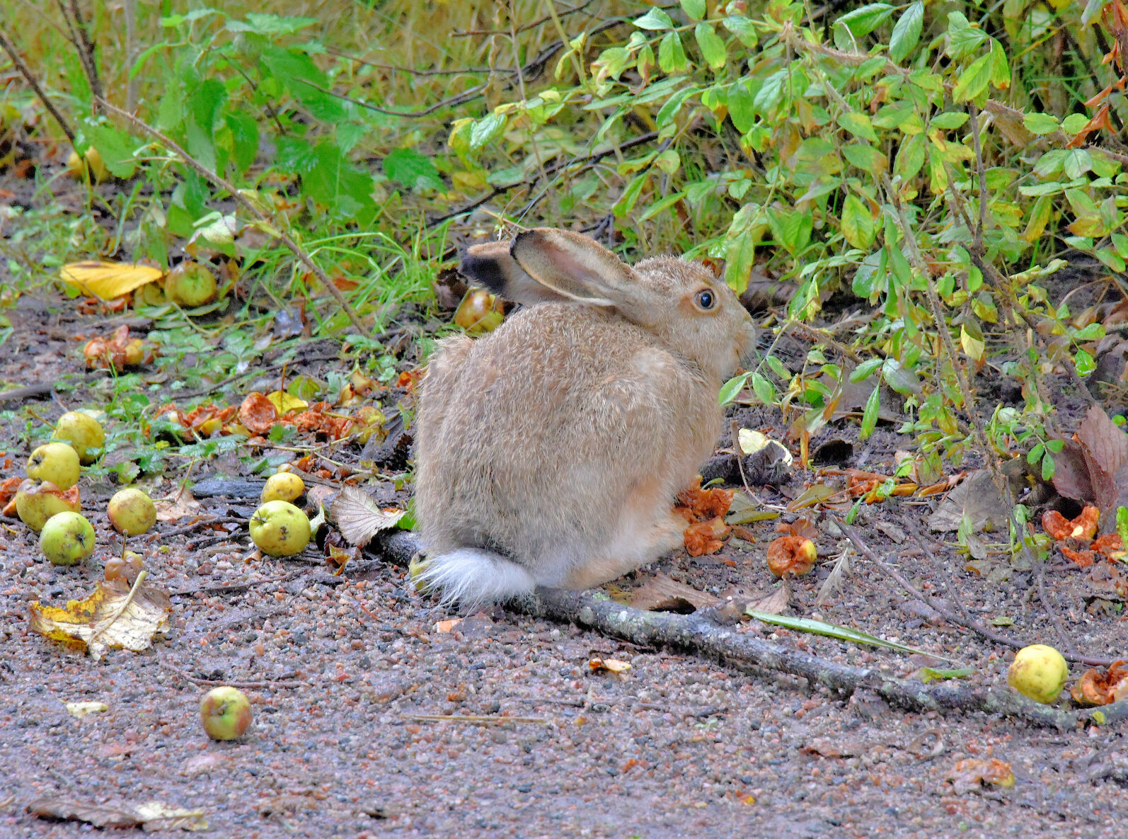 Valokuvaaja: Reijo Juurinen