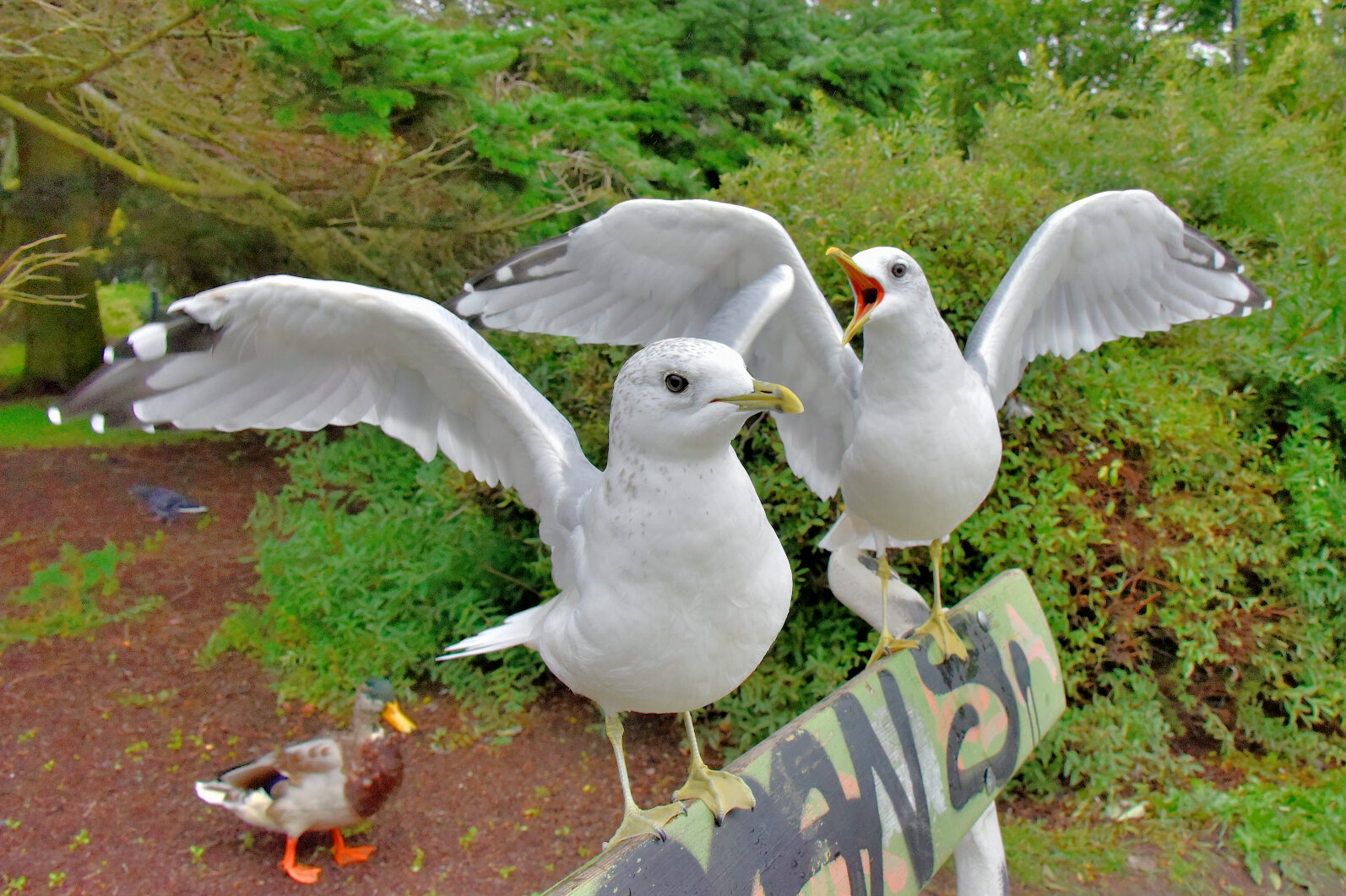 Valokuvaaja: Reijo Juurinen