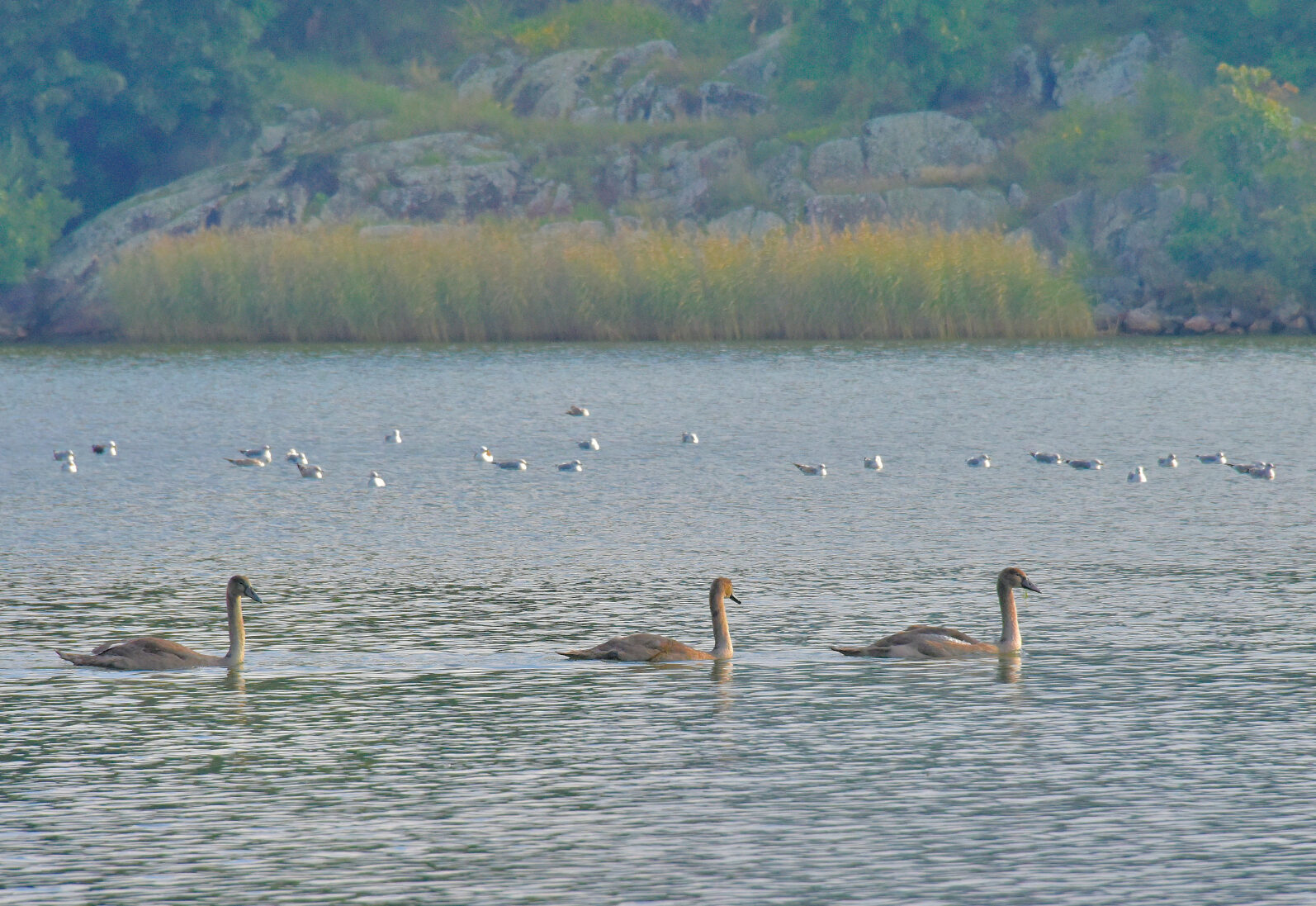 Valokuvaaja: Reijo Juurinen
