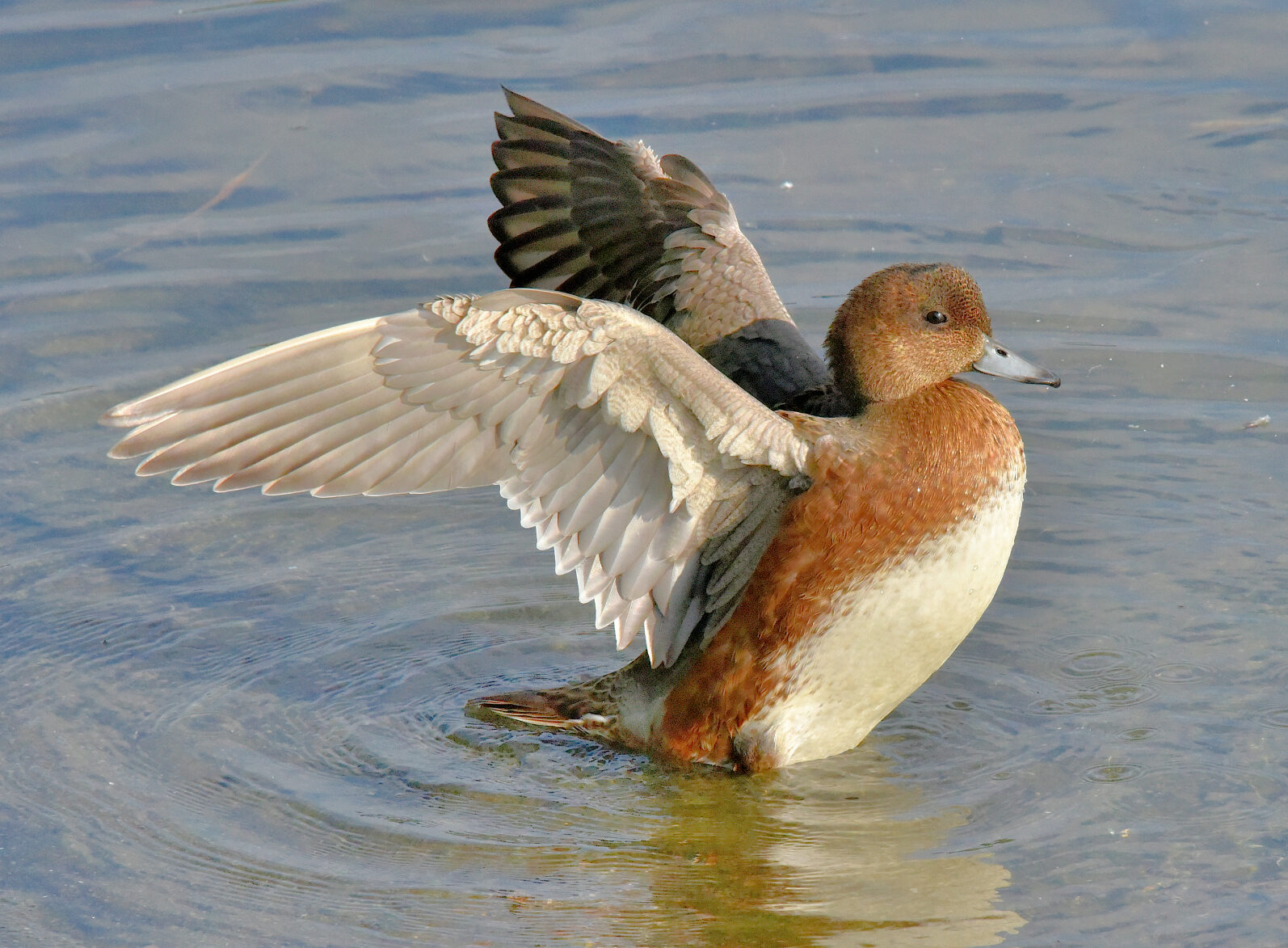 Valokuvaaja: Reijo Juurinen