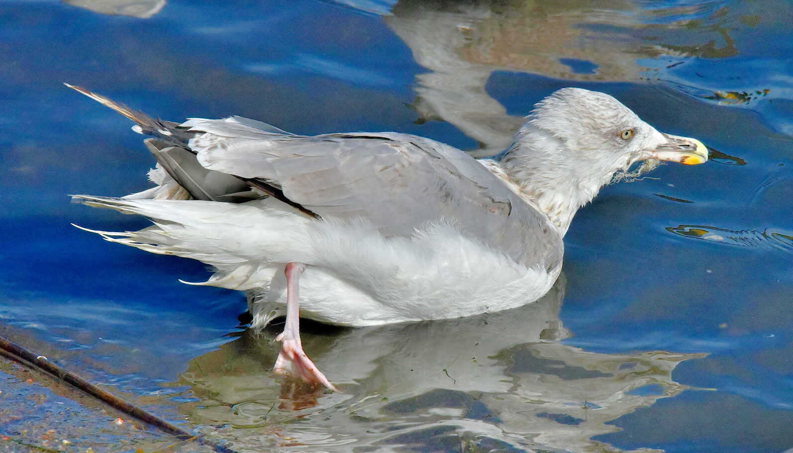 Valokuvaaja: Reijo Juurinen
