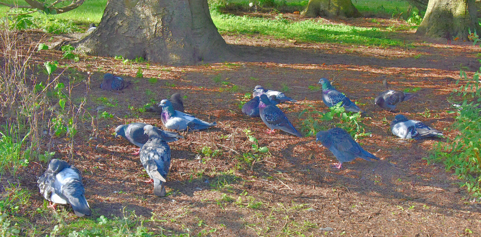 Valokuvaaja: Reijo Juurinen