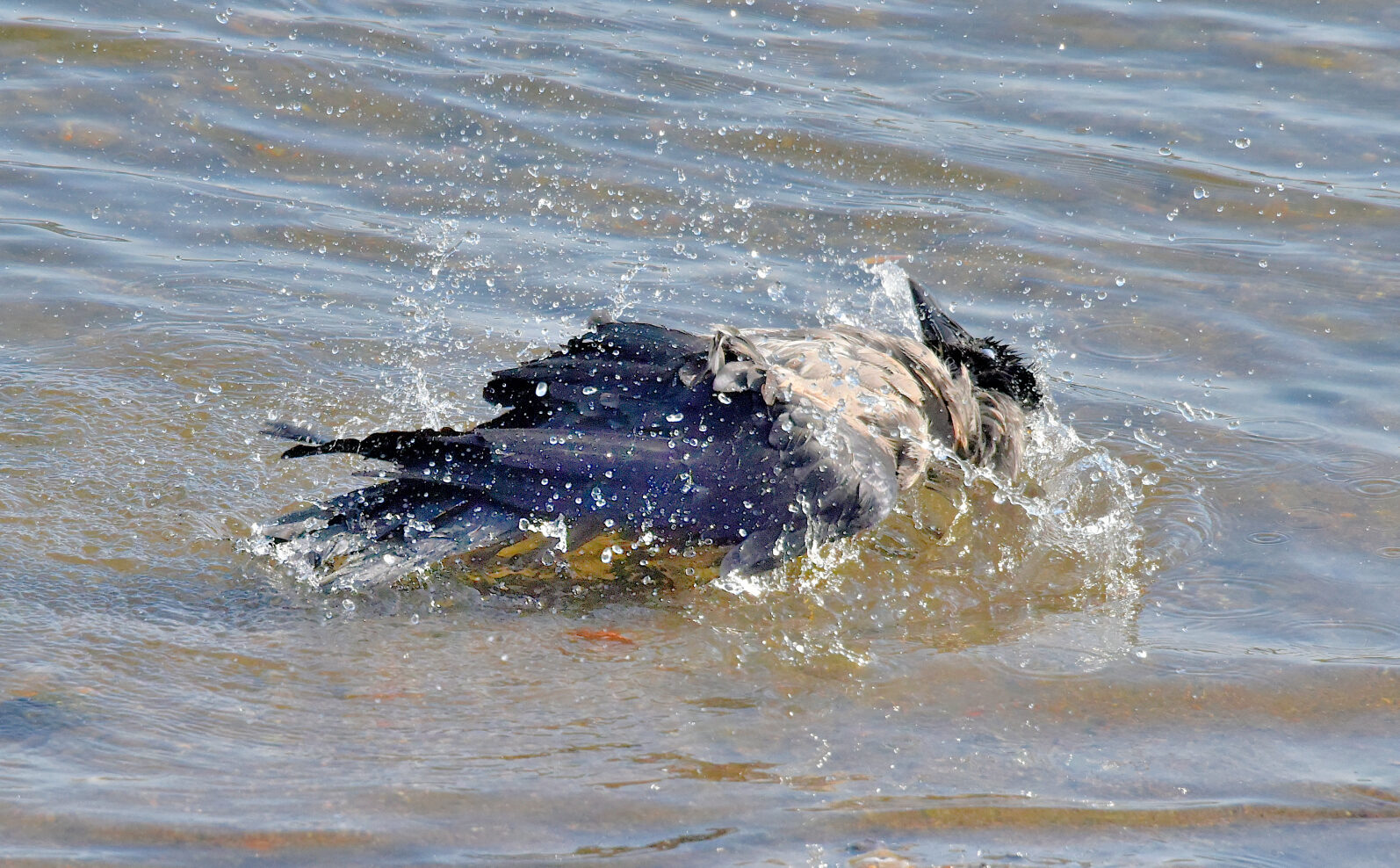 Valokuvaaja: Reijo Juurinen