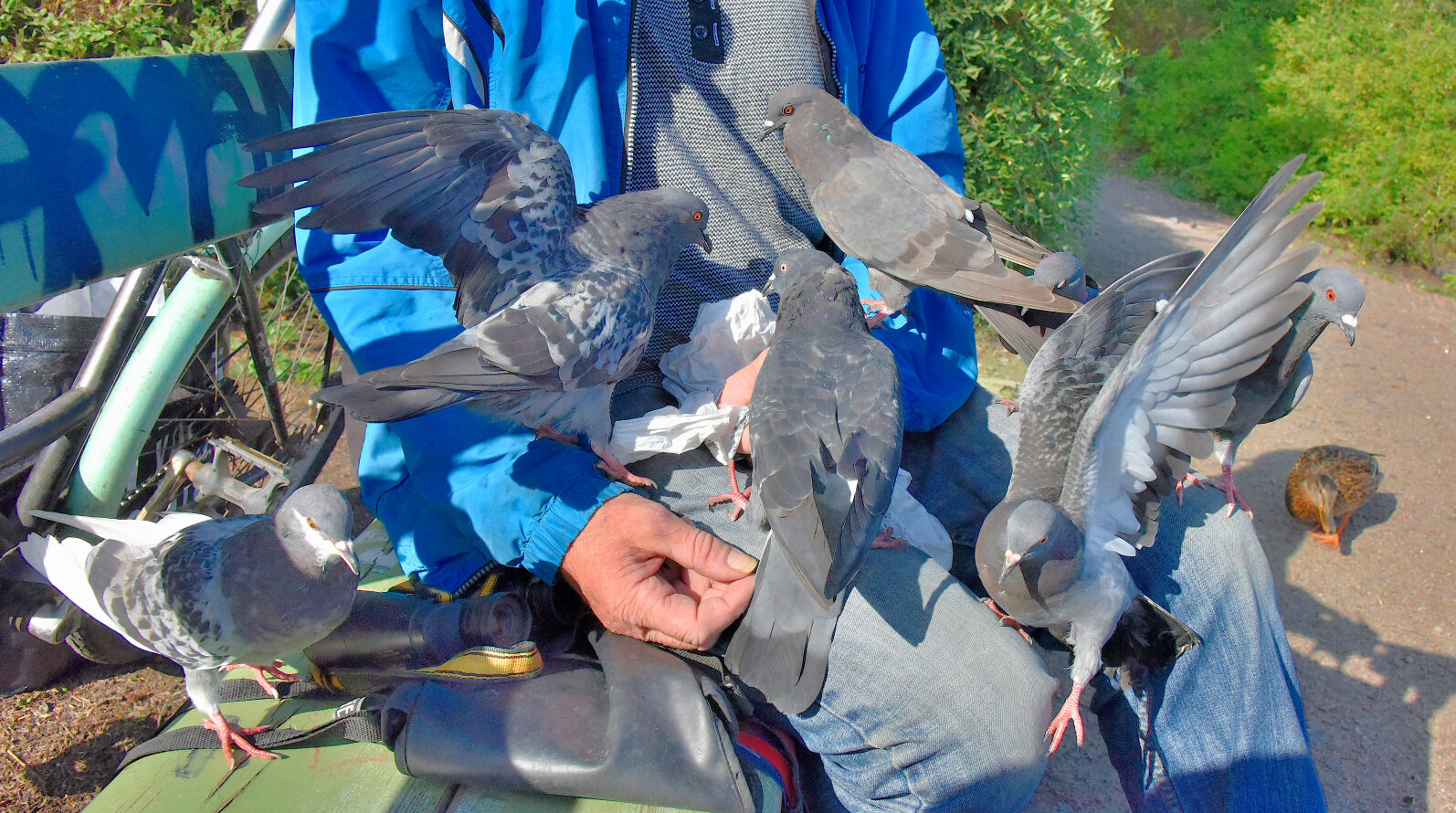 Valokuvaaja: Reijo Juurinen