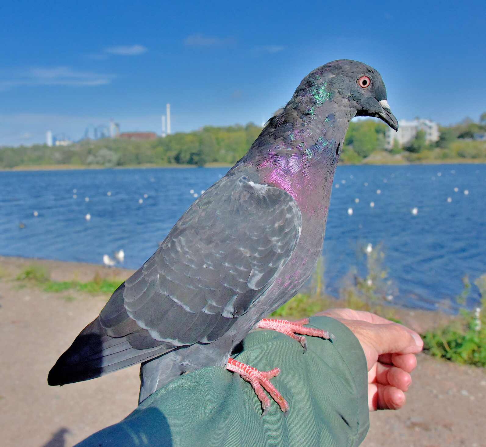 Valokuvaaja: Reijo Juurinen