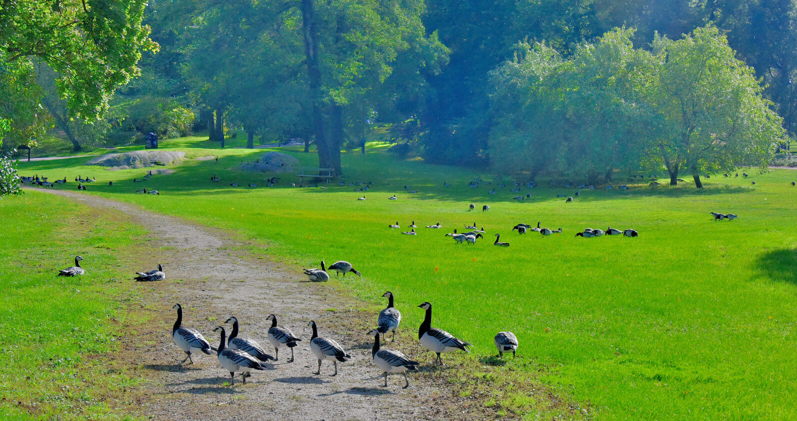 Valokuvaaja: Reijo Juurinen
