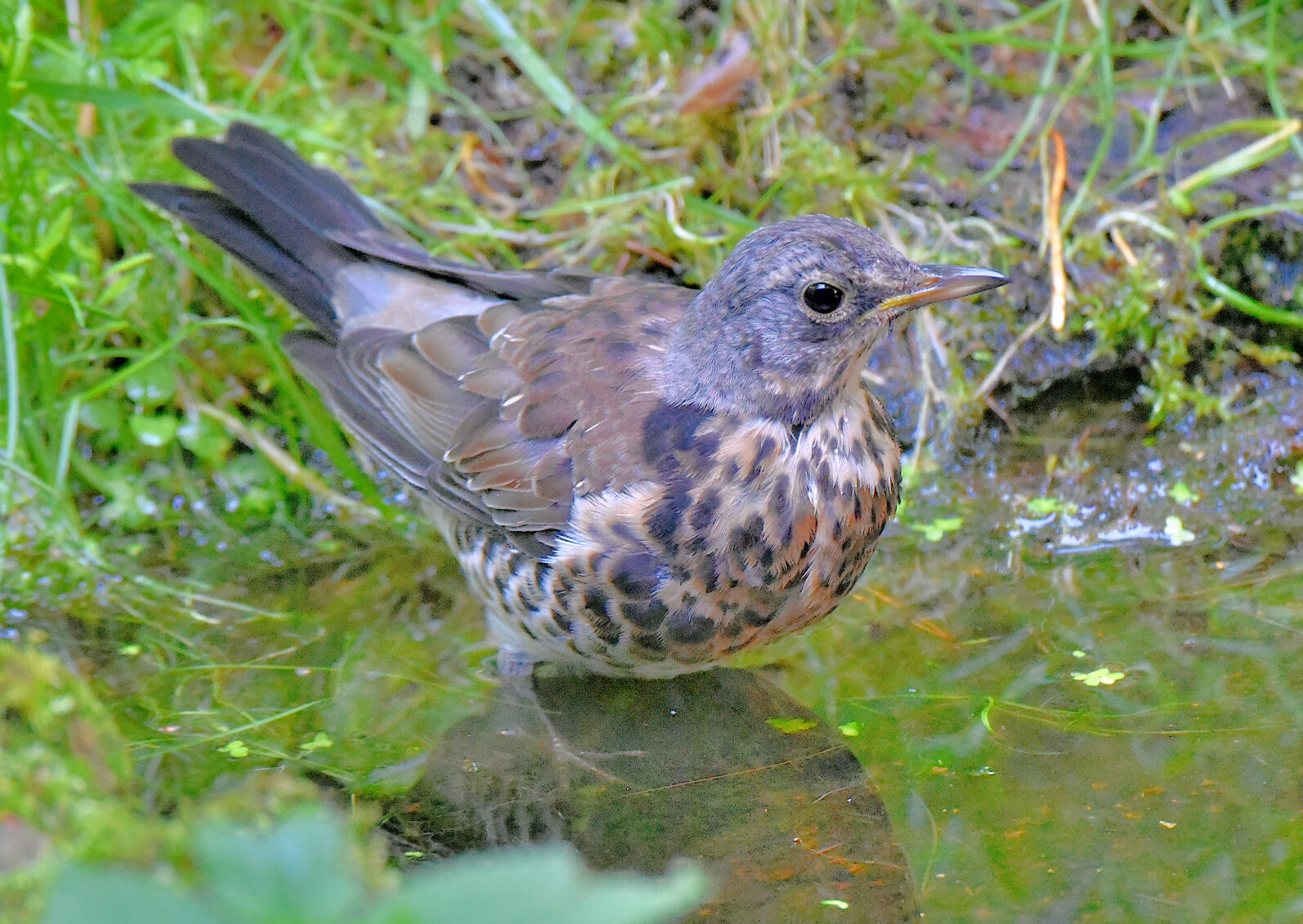 Valokuvaaja: Reijo Juurinen