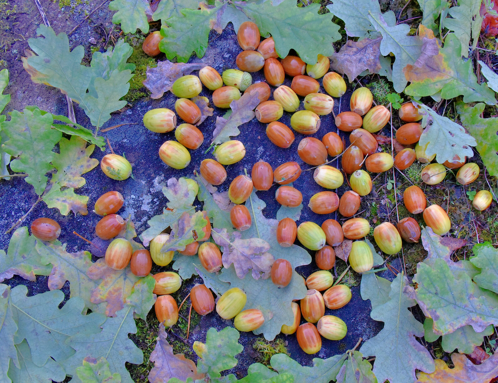 Valokuvaaja: Reijo Juurinen