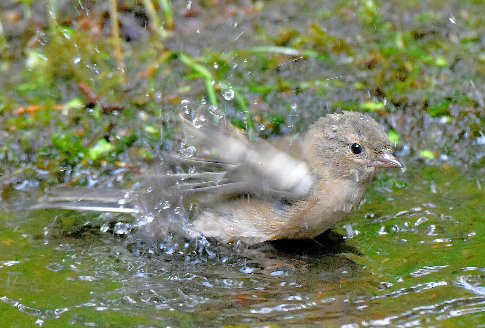 Valokuvaaja: Reijo Juurinen
