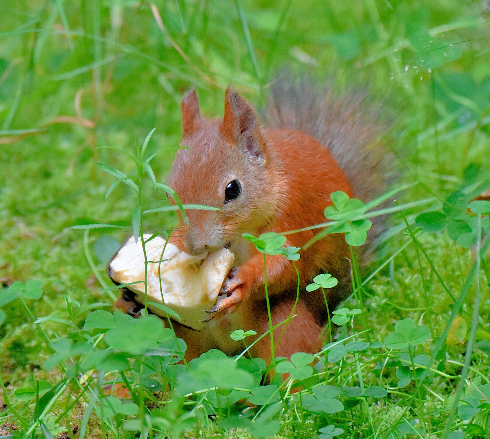 Valokuvaaja: Reijo Juurinen Valokuvaaja: Reijo Juurinen