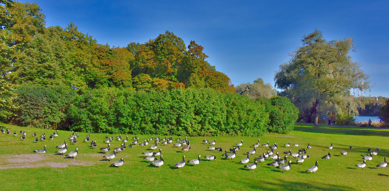 Valokuvaaja: Reijo Juurinen