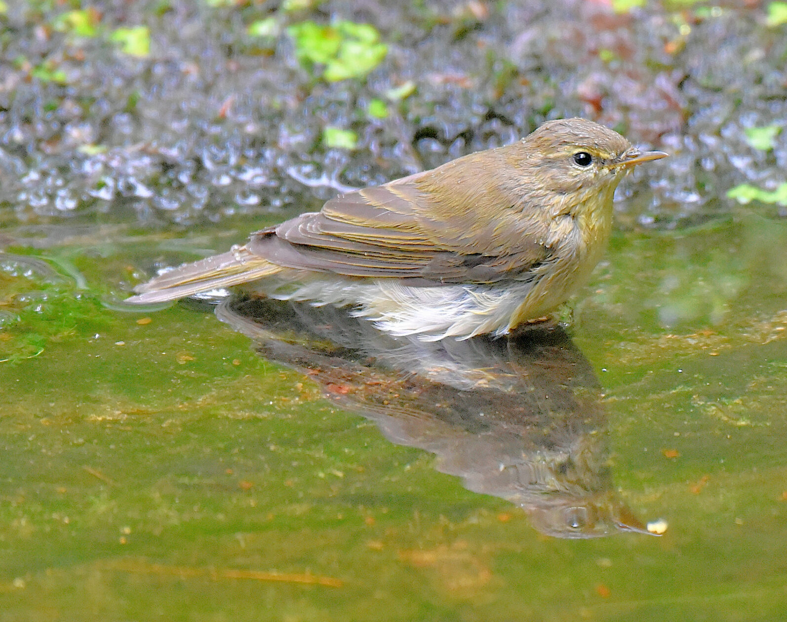 Valokuvaaja: Reijo Juurinen Valokuvaaja: Reijo Juurinen