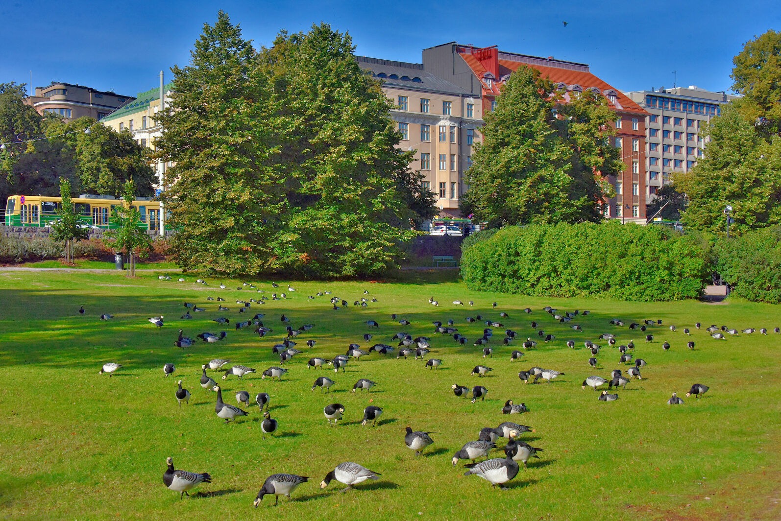 Valokuvaaja: Reijo Juurinen