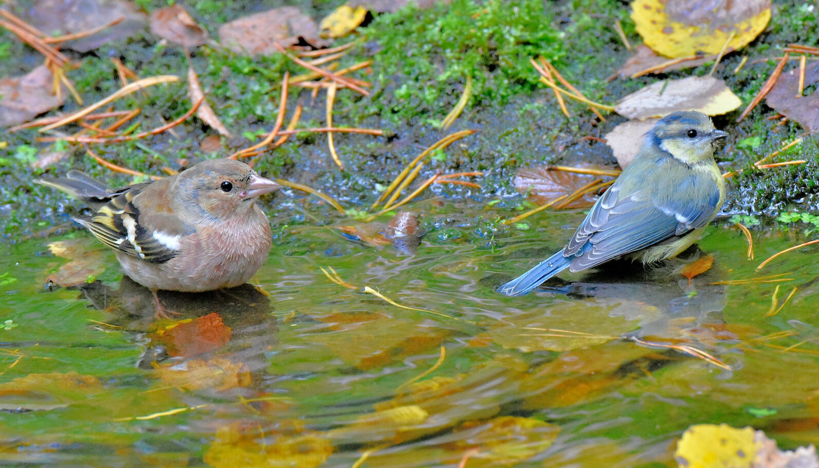 Valokuvaaja: Reijo Juurinen