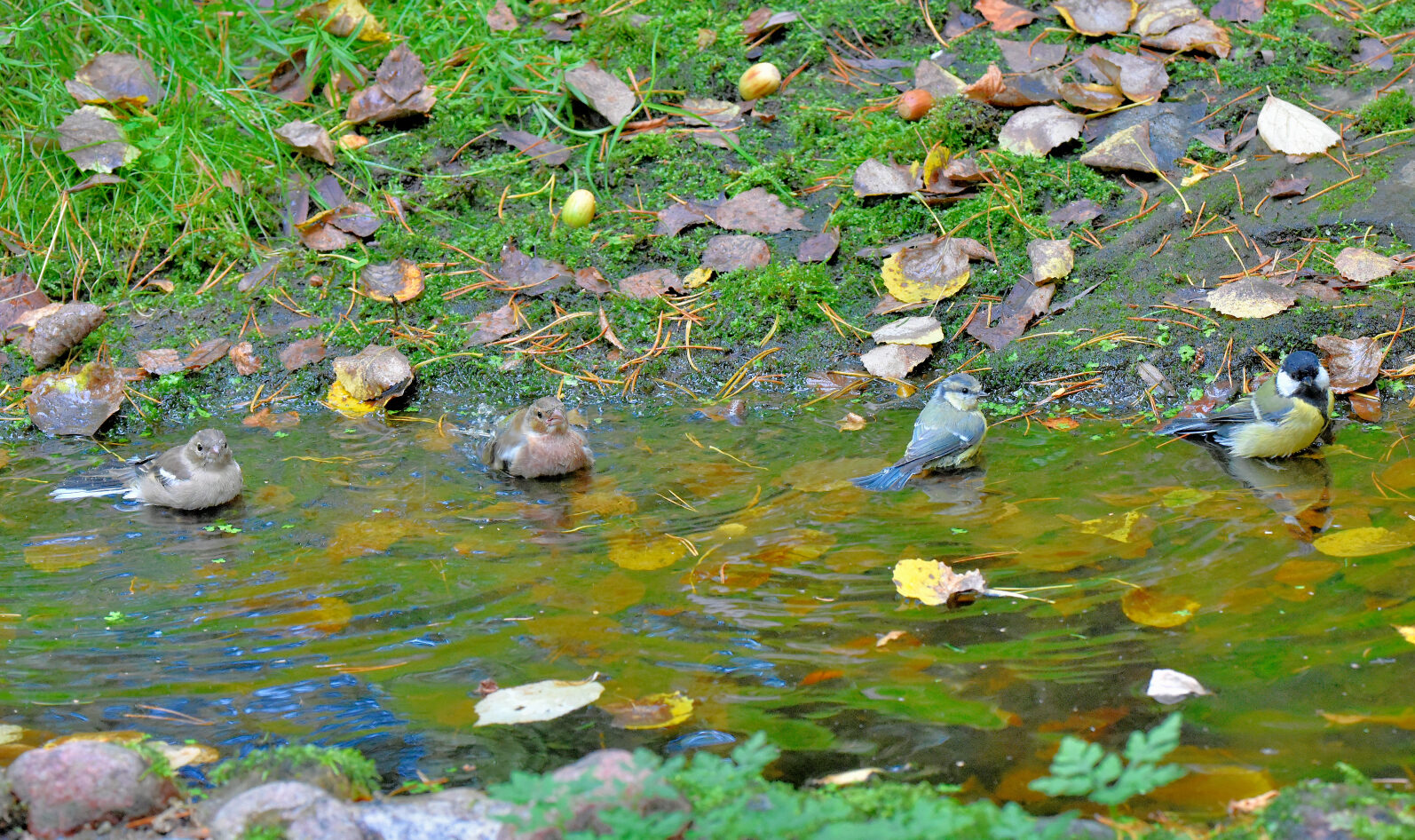 Valokuvaaja: Reijo Juurinen
