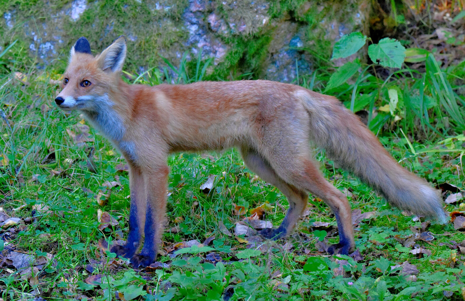 Valokuvaaja: Reijo Juurinen