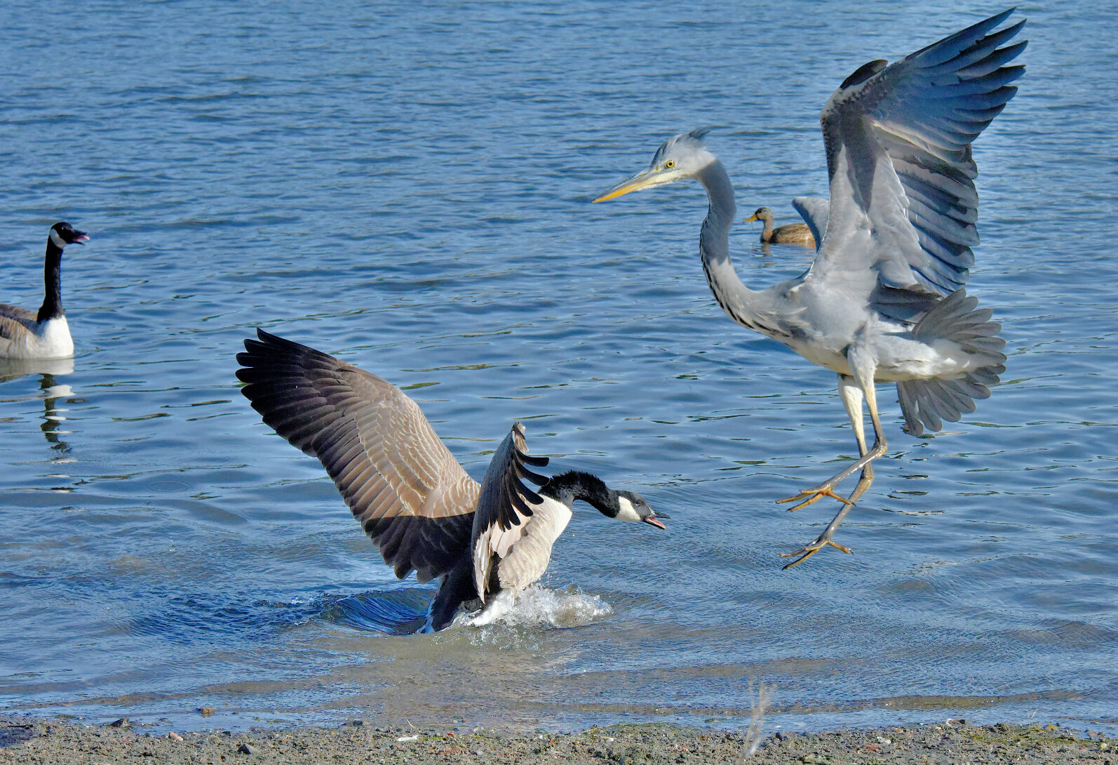 Valokuvaaja: Reijo Juurinen