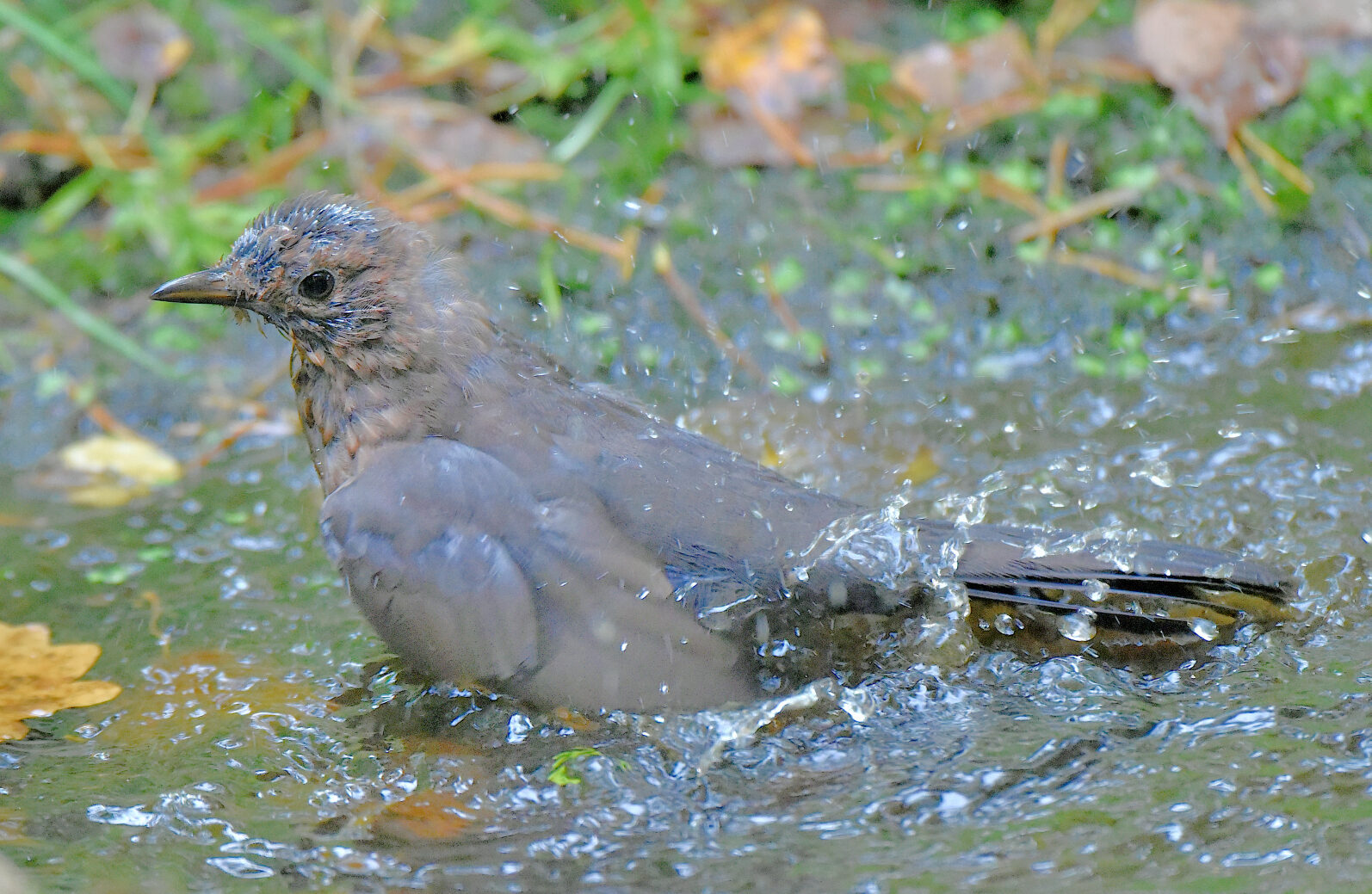 Valokuvaaja: Reijo Juurinen