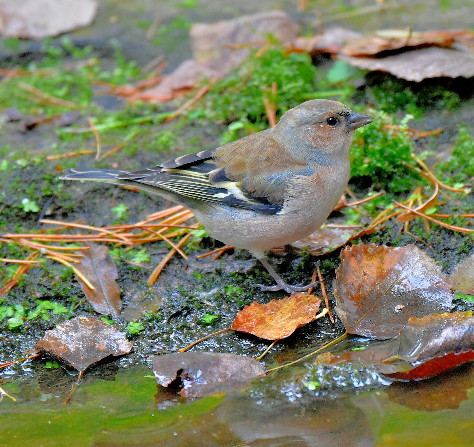 Valokuvaaja: Reijo Juurinen