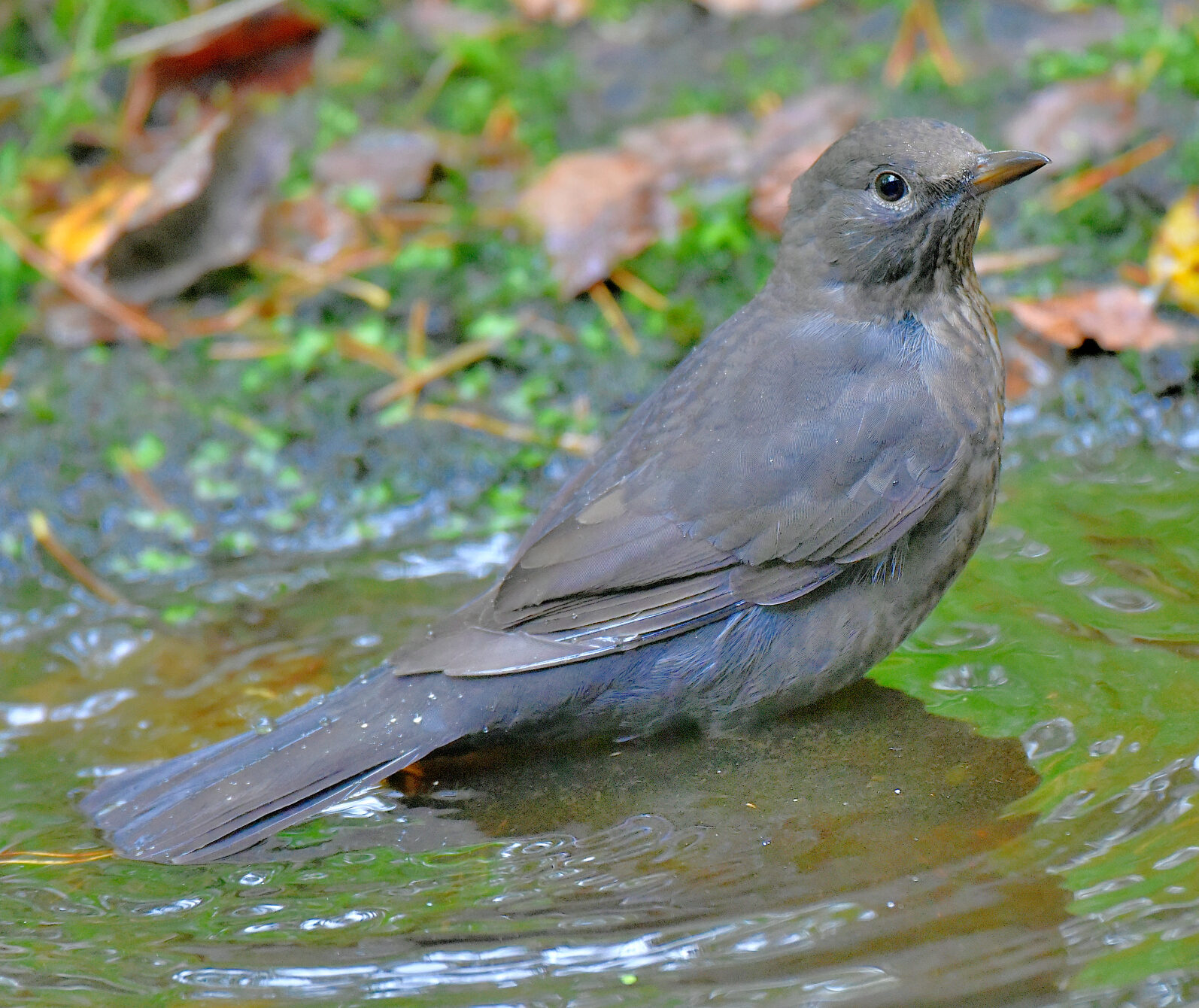 Valokuvaaja: Reijo Juurinen