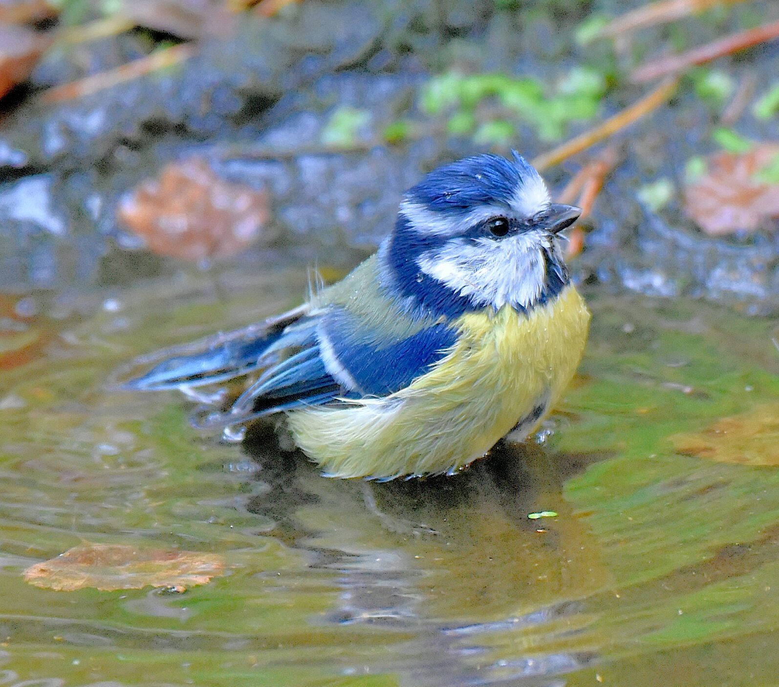 Valokuvaaja: Reijo Juurinen