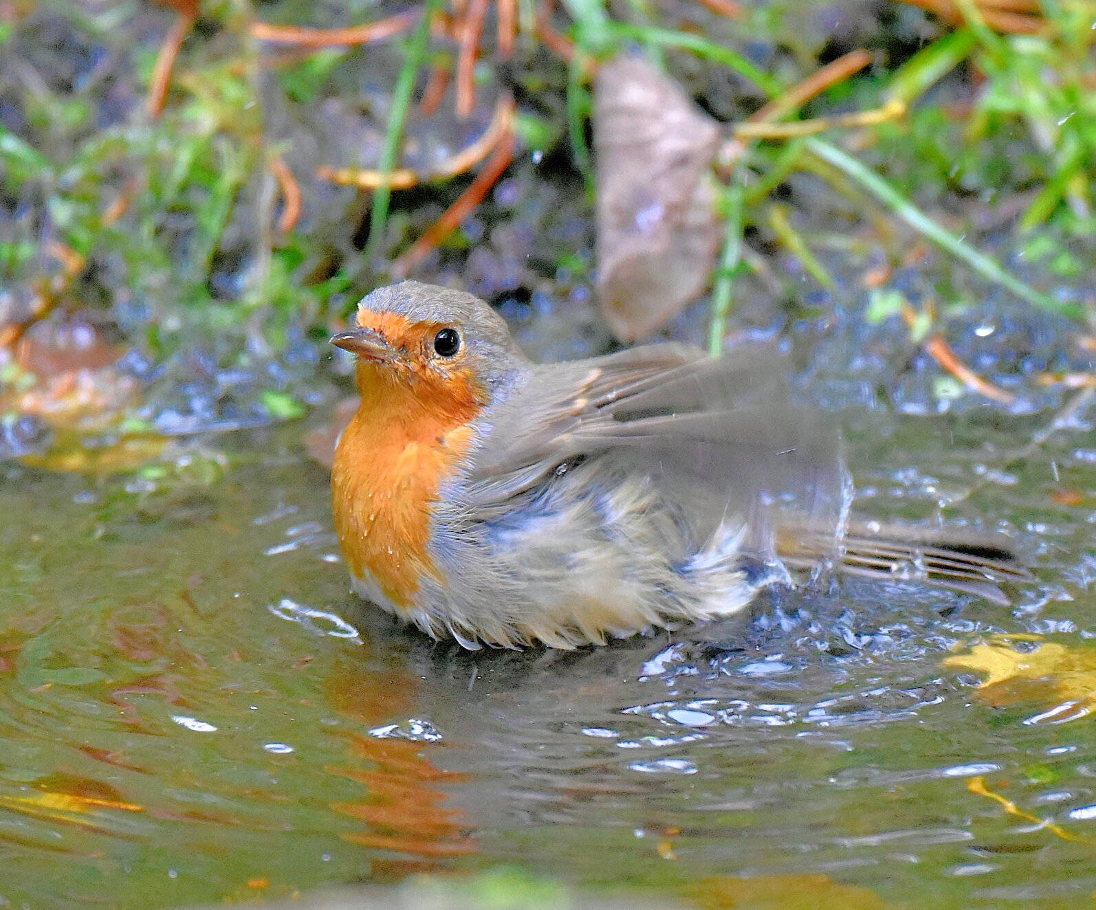 Valokuvaaja: Reijo Juurinen