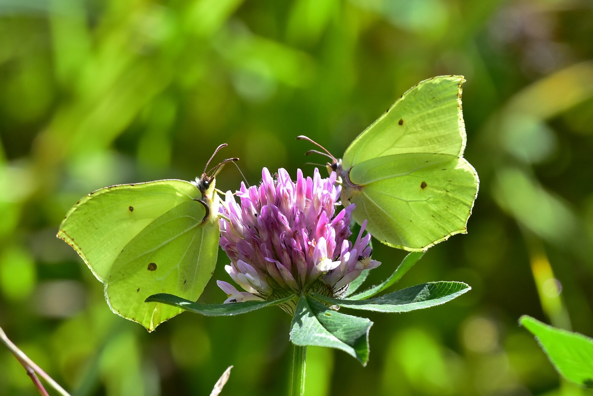 Valokuvaaja: Markku Pelkonen Valokuvaaja: Markku Pelkonen