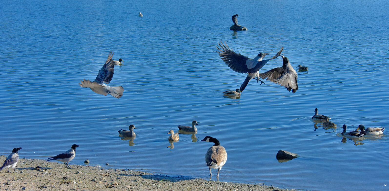 Valokuvaaja: Reijo Juurinen