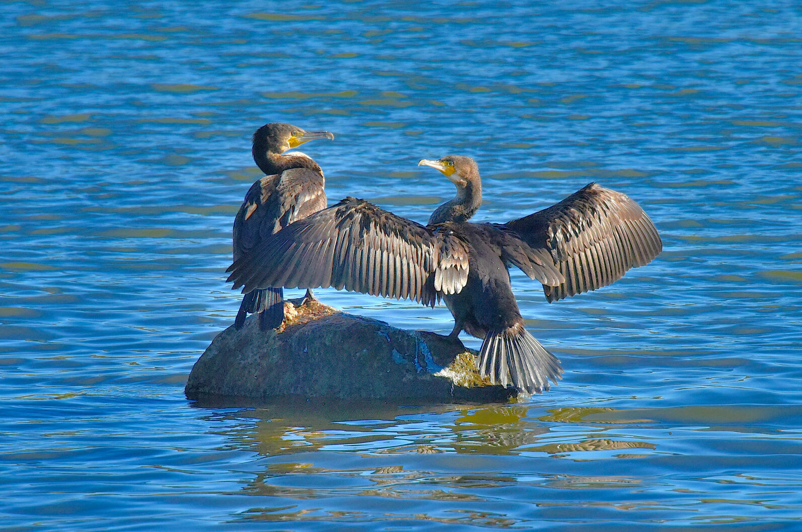 Valokuvaaja: Reijo Juurinen