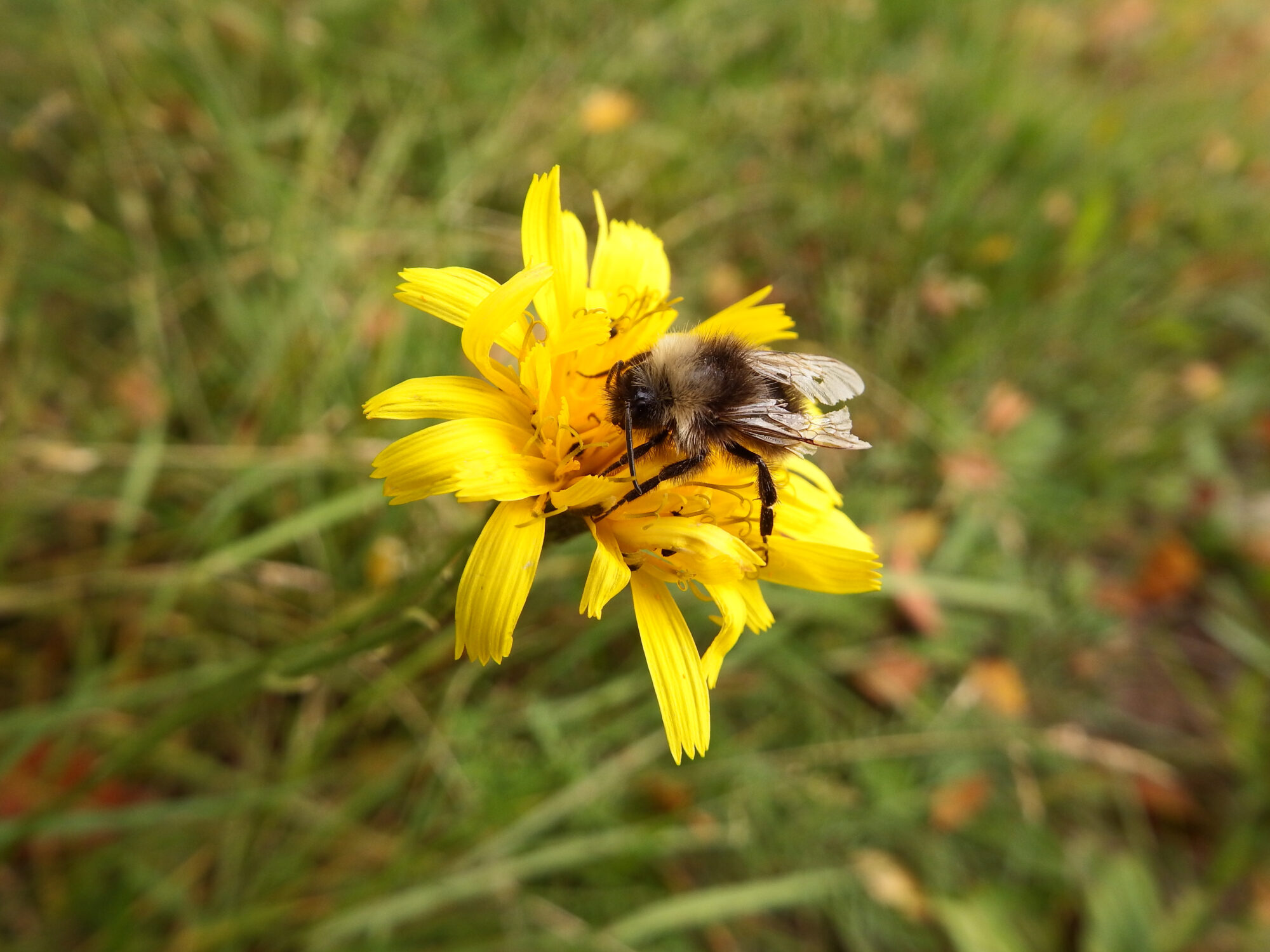 Valokuvaaja: Toni Asikainen