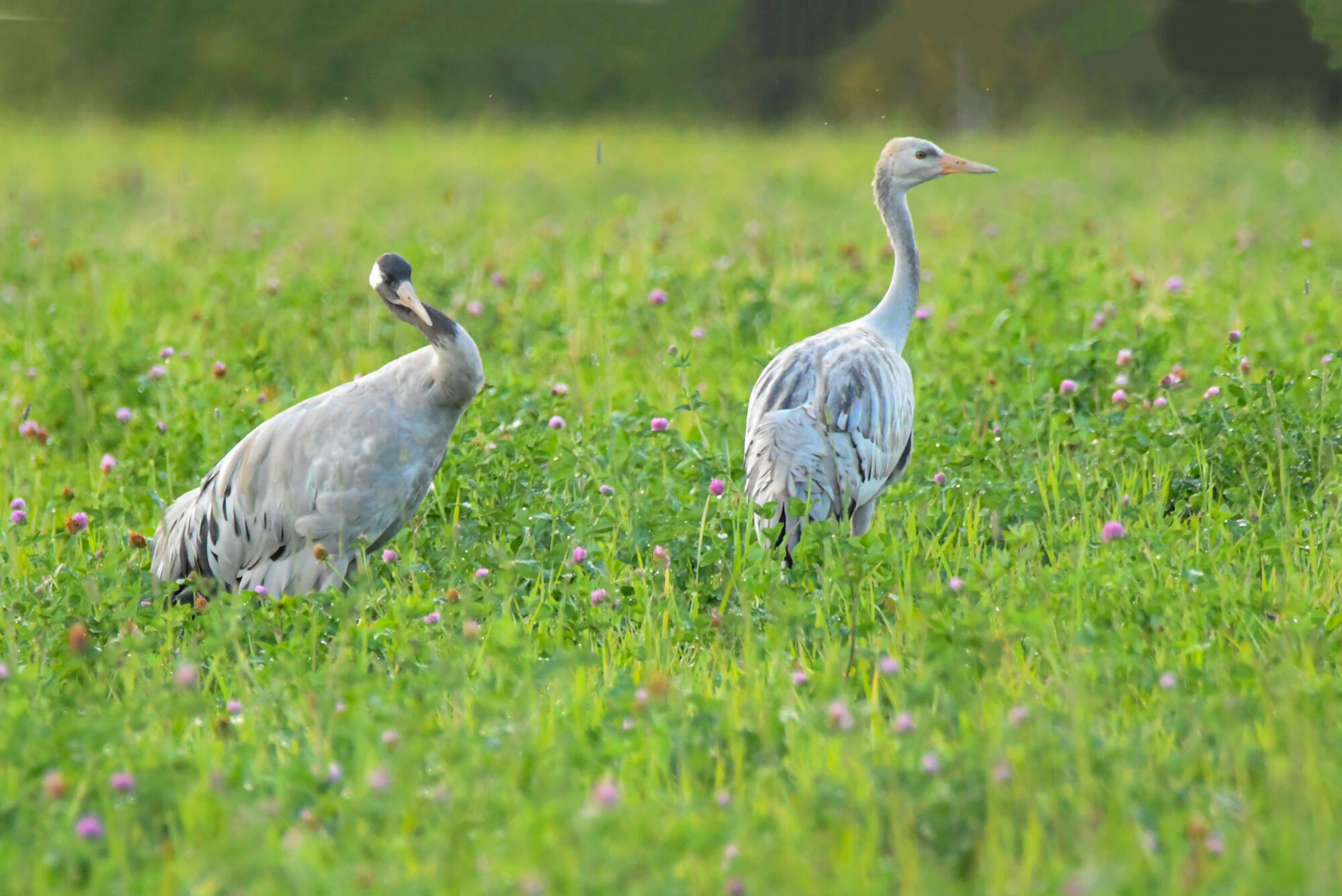 Valokuvaaja: Maija Savolainen