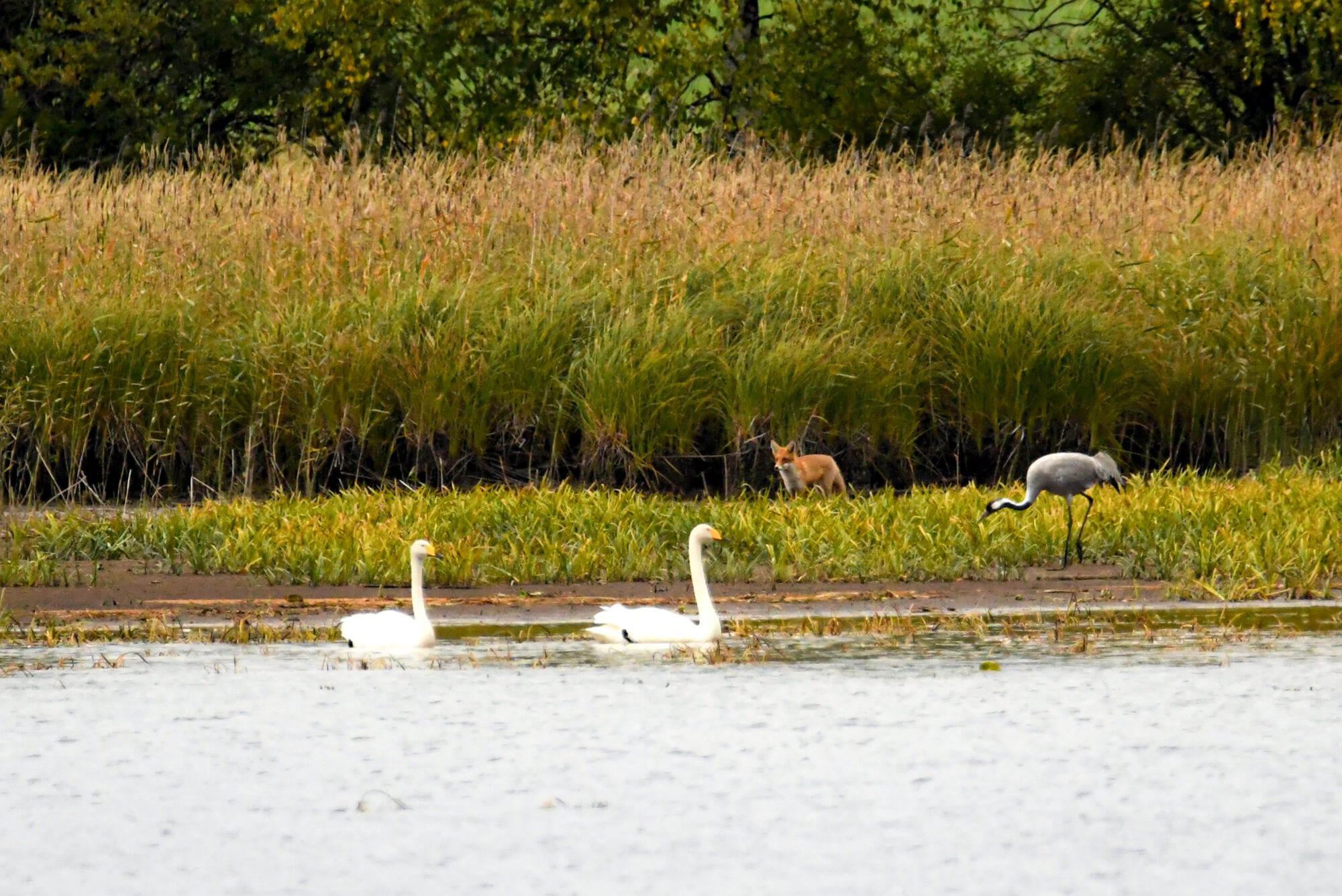 Valokuvaaja: Maija savolainen