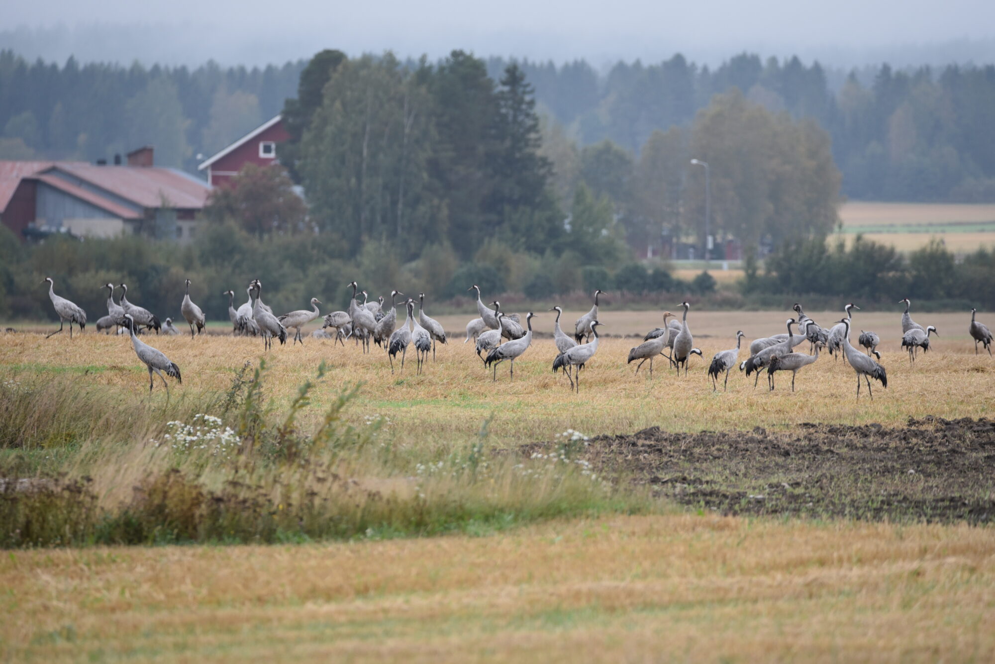 Valokuvaaja: Leena Latvala