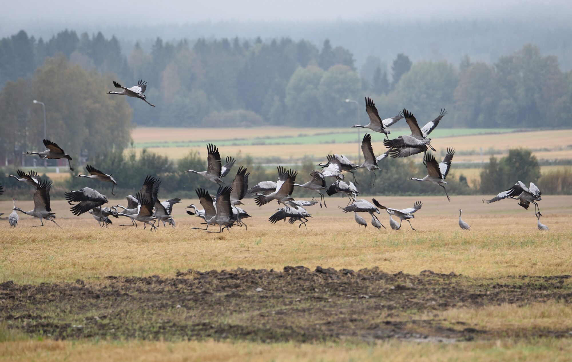 Valokuvaaja: Leena Latvala
