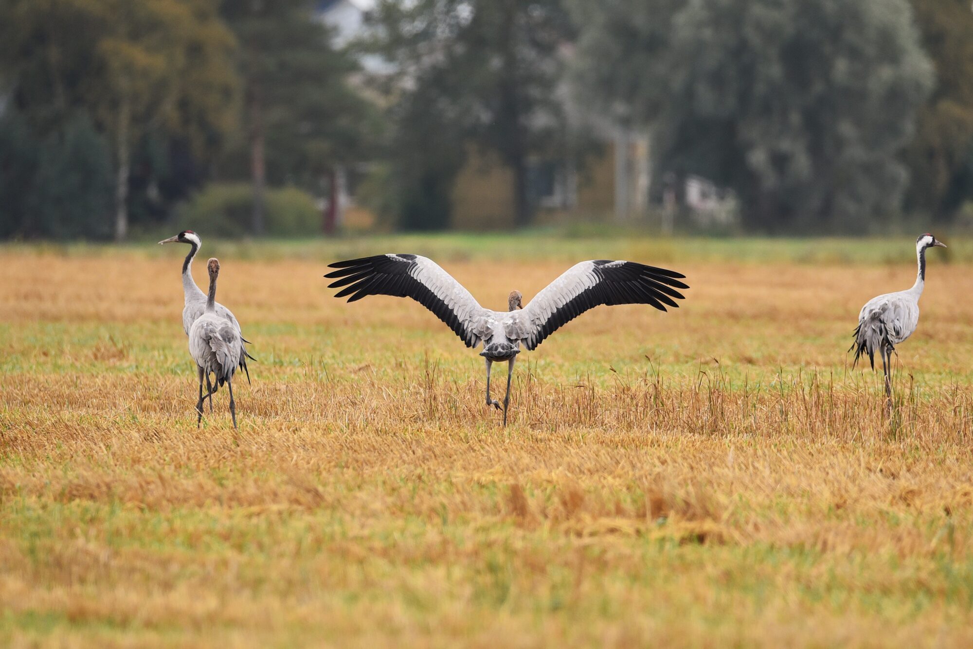 Valokuvaaja: Leena Latvala