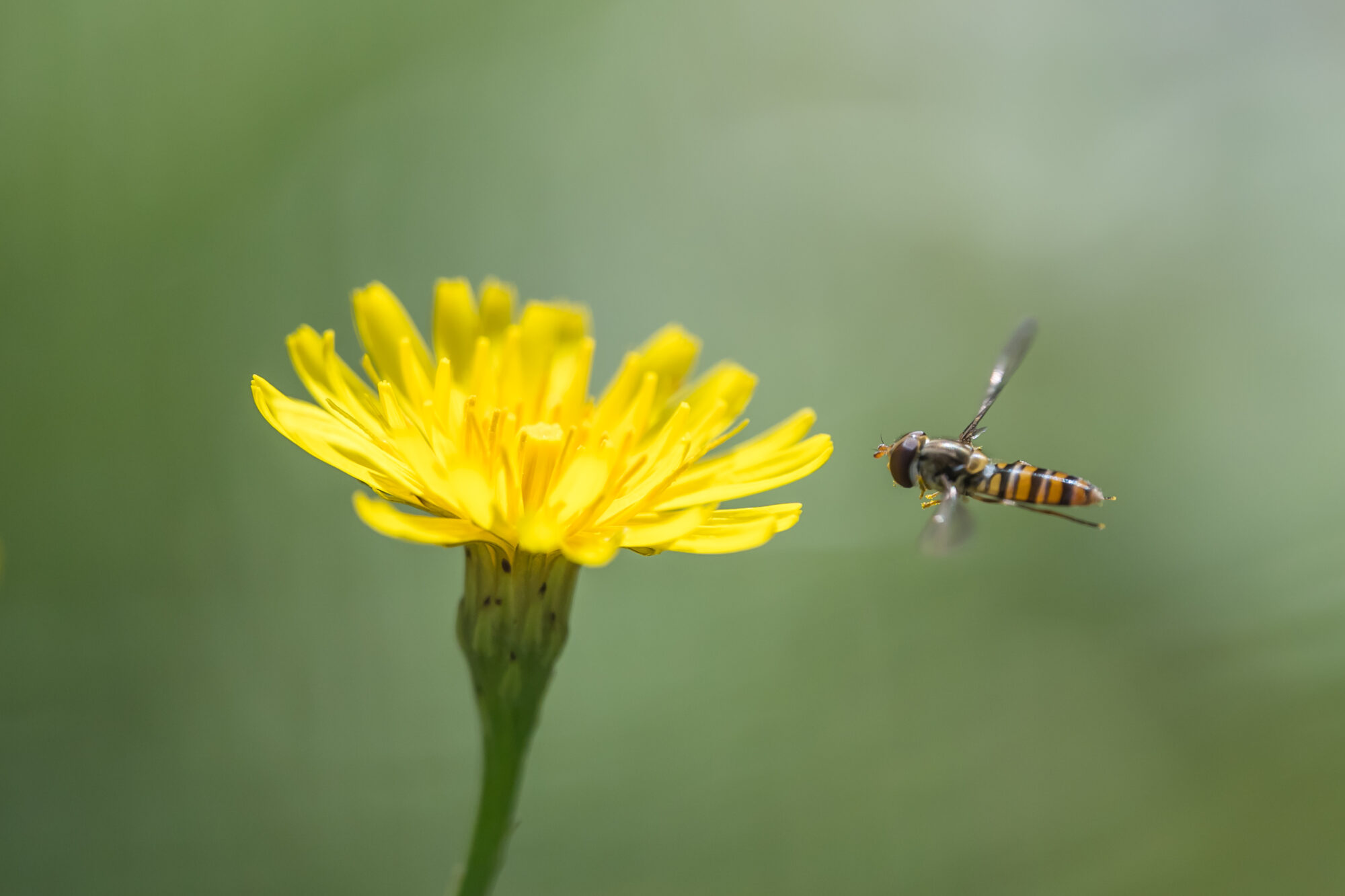 Valokuvaaja: Markku Saarinen