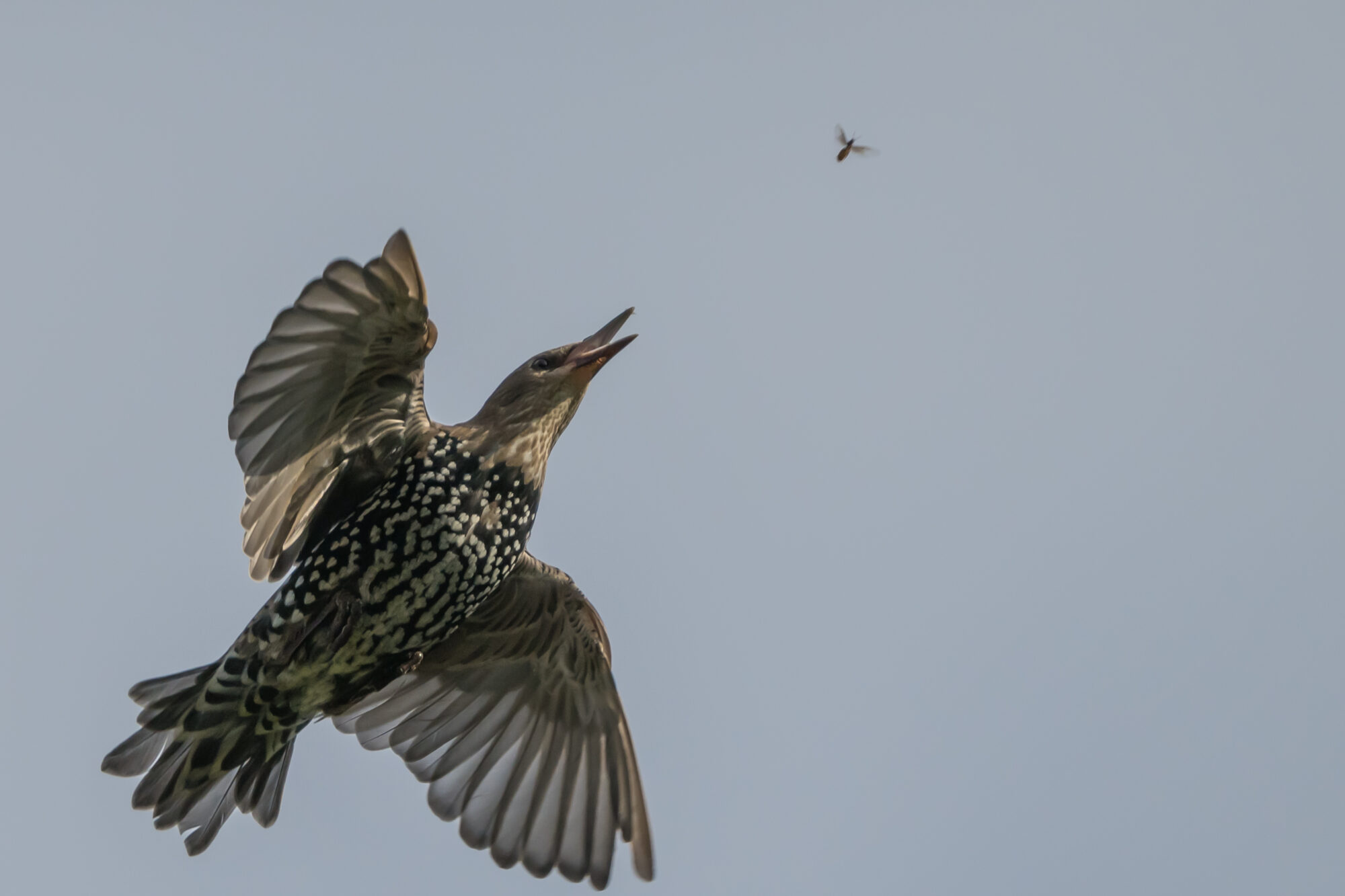 Valokuvaaja: Markku Saarinen
