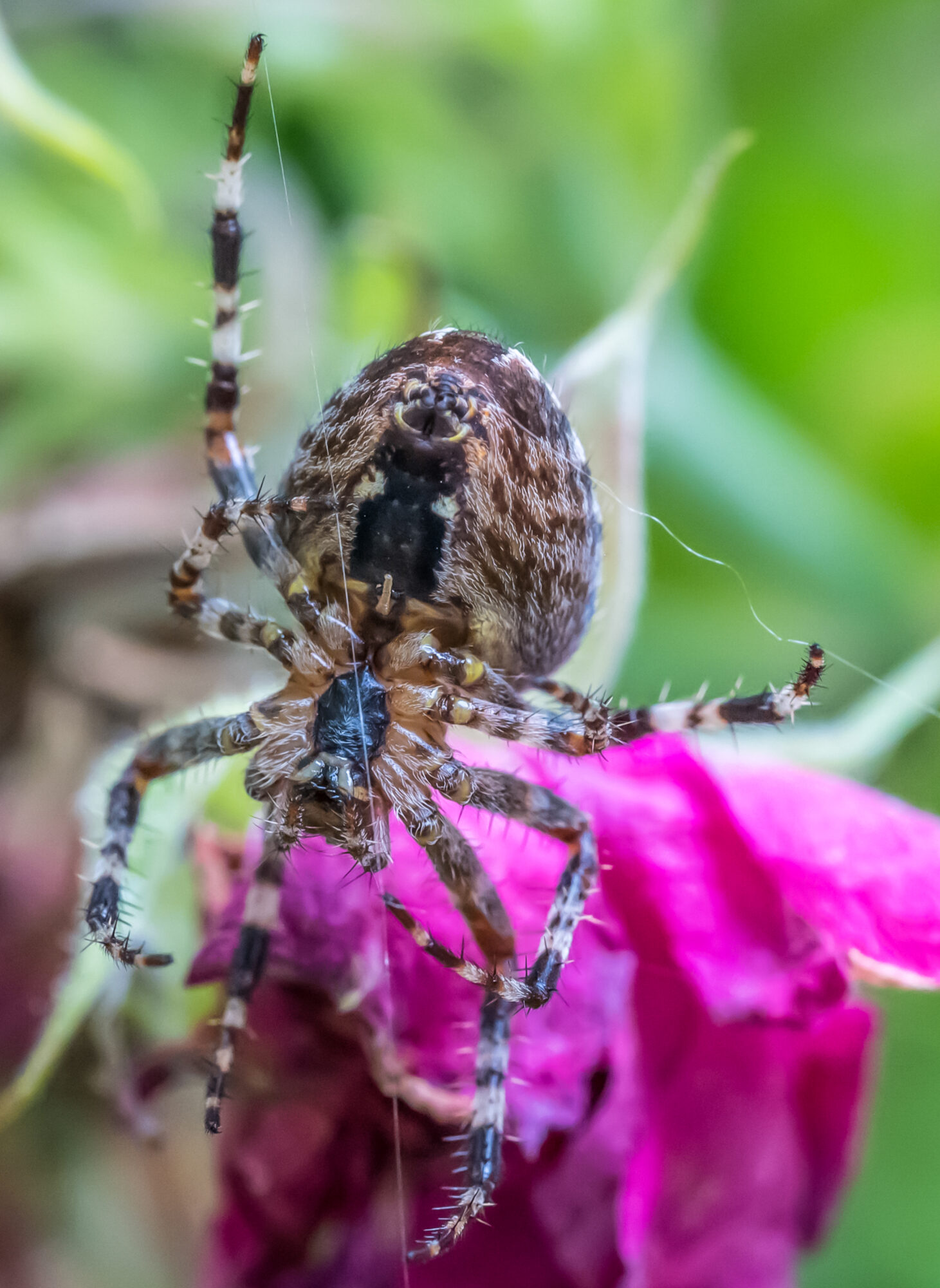 Valokuvaaja: Markku Saarinen Valokuvaaja: Markku Saarinen