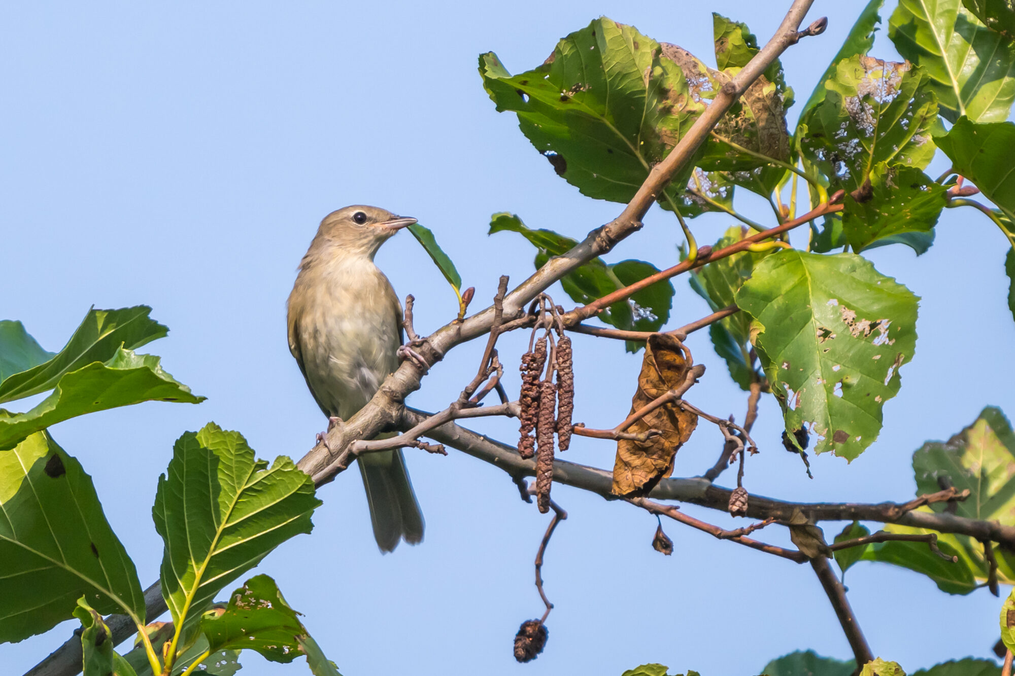 Valokuvaaja: Markku Saarinen