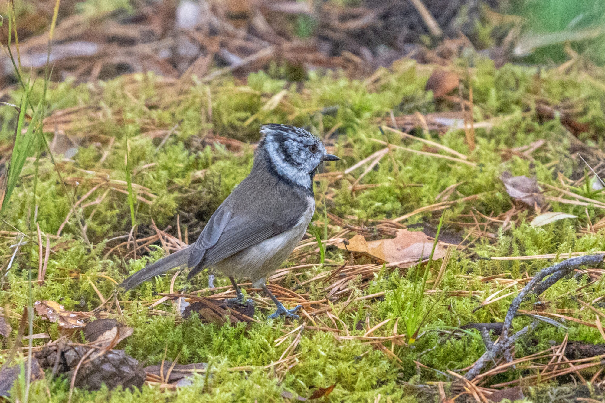 Valokuvaaja: Markku Saarinen