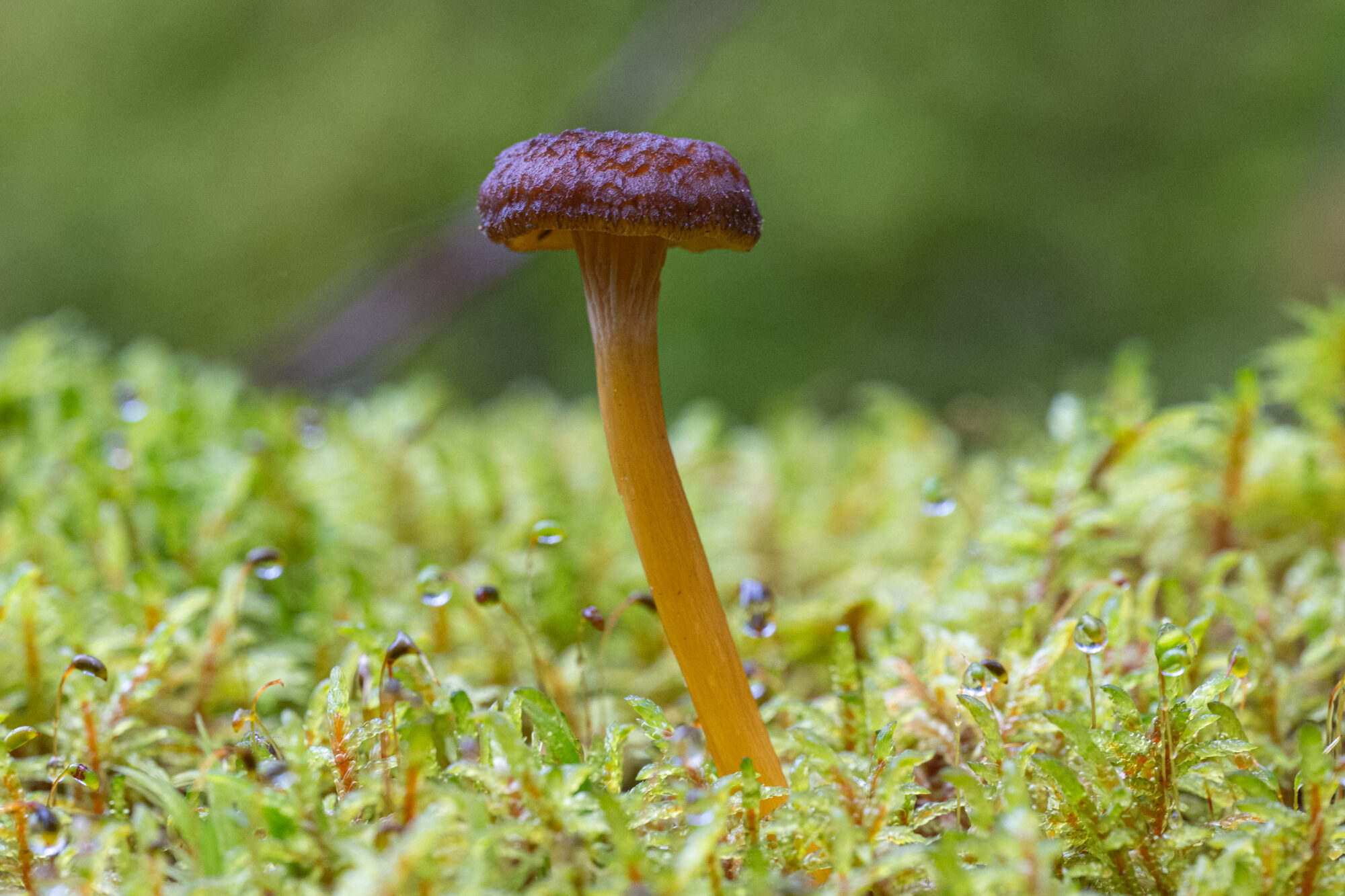 Valokuvaaja: Markku Saarinen